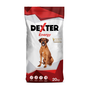 DEXTER ENERGY 20 KG