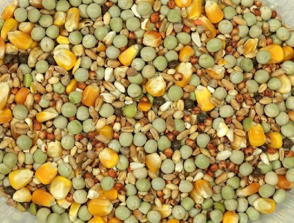 Mixtura Palomas VINCI Cria 25Kg