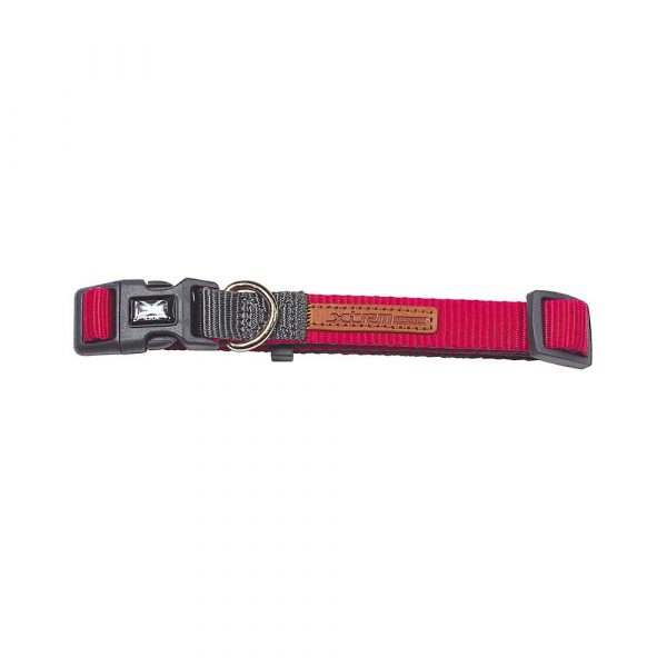 COLLAR FUCSIA-GRIS FOREST-BRITISH X-TRM DOBLE