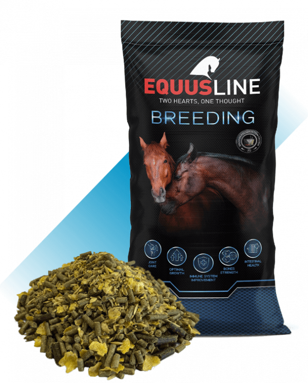 EQUUS LINE BREEDING SUPER (COLTS SUPER) MIX 20 KG