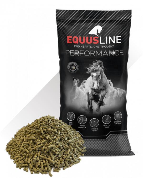 EQUUS LINE SUPER GS 25 KG