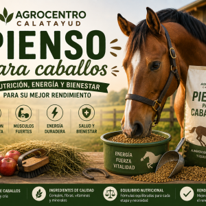 PIENSO PARA CABALLOS